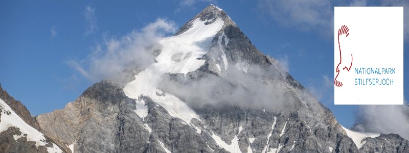 Ortler mit Stilfserjoch Logo