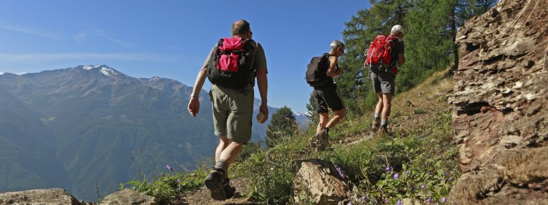 Suedtirol, Vinschgau, Vinschger Hoehenweg, Wanderweg, Weg von St.Martin zur Jausenstation Platztair,